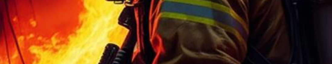 Profissão corretora de seguros em santos 878